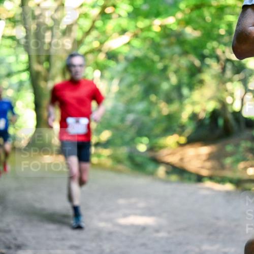 28.09.2025 - 33. Volkslauf durch das schöne Alstertal Dr. Thomas Lammeyer http://msf.ph/oto/8953516 28.09.2025 10:35:49 Laufen  meine-sportfotos.de
