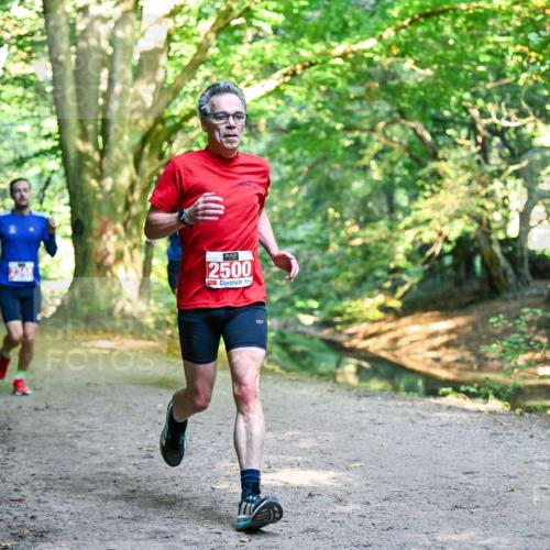 28.09.2025 - 33. Volkslauf durch das schöne Alstertal Dr. Thomas Lammeyer http://msf.ph/oto/8953517 28.09.2025 10:35:49 Laufen 2500 meine-sportfotos.de