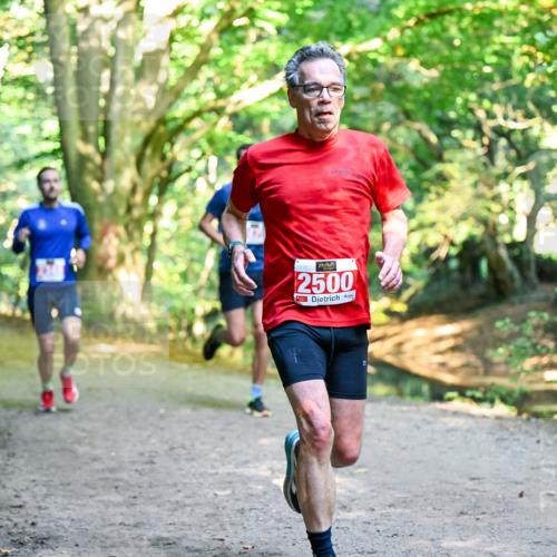 28.09.2025 - 33. Volkslauf durch das schöne Alstertal Dr. Thomas Lammeyer http://msf.ph/oto/8953522 28.09.2025 10:35:49 Laufen 2500 meine-sportfotos.de