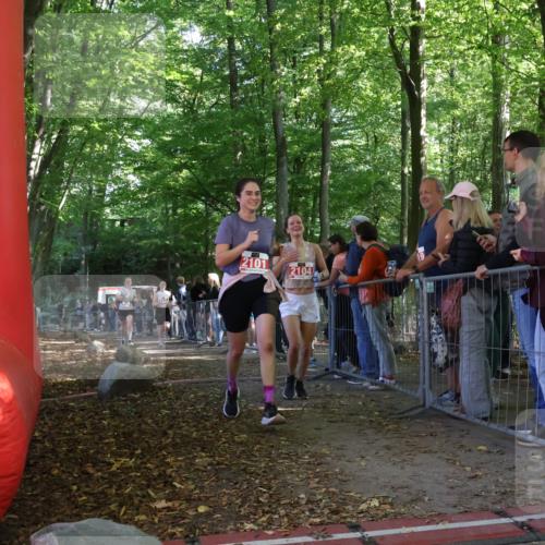 28.09.2025 - 33. Volkslauf durch das schöne Alstertal Strokosch-Dieckow http://msf.ph/oto/8953525 28.09.2025 12:32:20 Ziel 2163, 2177 meine-sportfotos.de