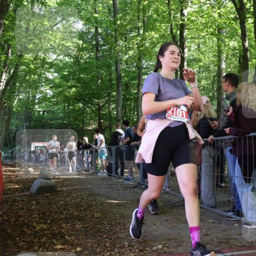 28.09.2025 - 33. Volkslauf durch das schöne Alstertal Strokosch-Dieckow http://msf.ph/oto/8953530 28.09.2025 12:32:20 Ziel 2163, 2177 meine-sportfotos.de