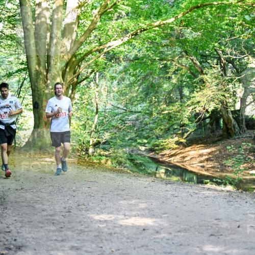 28.09.2025 - 33. Volkslauf durch das schöne Alstertal Dr. Thomas Lammeyer http://msf.ph/oto/8953537 28.09.2025 10:35:57 Laufen 358 meine-sportfotos.de