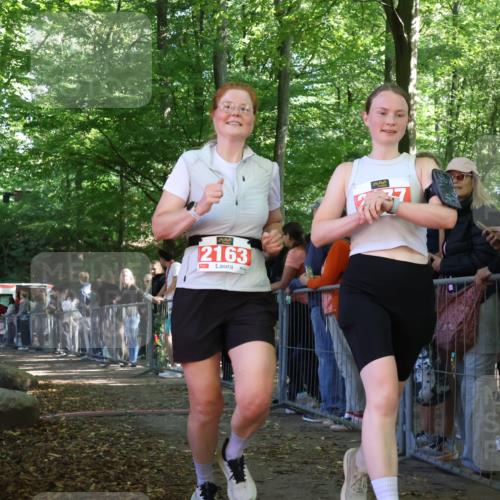 28.09.2025 - 33. Volkslauf durch das schöne Alstertal Strokosch-Dieckow http://msf.ph/oto/8953542 28.09.2025 12:32:24 Ziel 2079 meine-sportfotos.de
