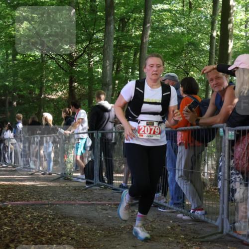 28.09.2025 - 33. Volkslauf durch das schöne Alstertal Strokosch-Dieckow http://msf.ph/oto/8953546 28.09.2025 12:32:34 Ziel 2079, 2143 meine-sportfotos.de