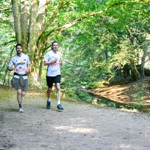 28.09.2025 - 33. Volkslauf durch das schöne Alstertal Dr. Thomas Lammeyer http://msf.ph/oto/8953547 28.09.2025 10:35:57 Laufen 2560, 2358 meine-sportfotos.de