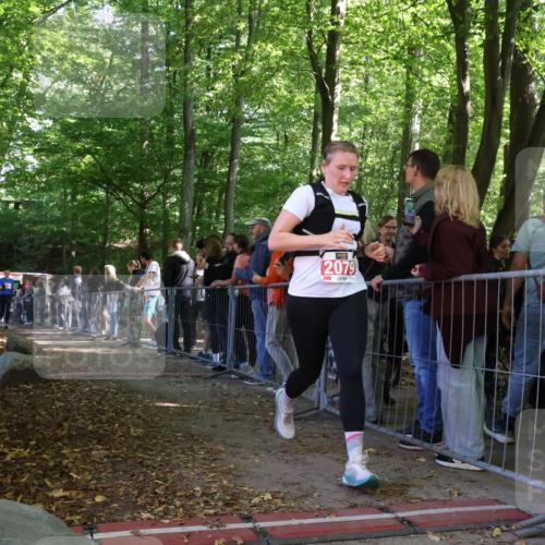 28.09.2025 - 33. Volkslauf durch das schöne Alstertal Strokosch-Dieckow http://msf.ph/oto/8953550 28.09.2025 12:32:35 Ziel 2143, 2168 meine-sportfotos.de