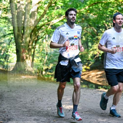 28.09.2025 - 33. Volkslauf durch das schöne Alstertal Dr. Thomas Lammeyer http://msf.ph/oto/8953562 28.09.2025 10:35:59 Laufen 2560, 358 meine-sportfotos.de