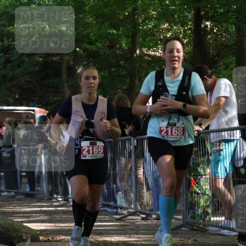 28.09.2025 - 33. Volkslauf durch das schöne Alstertal Strokosch-Dieckow http://msf.ph/oto/8953566 28.09.2025 12:32:44 Ziel 2168, 2169, 2603 meine-sportfotos.de