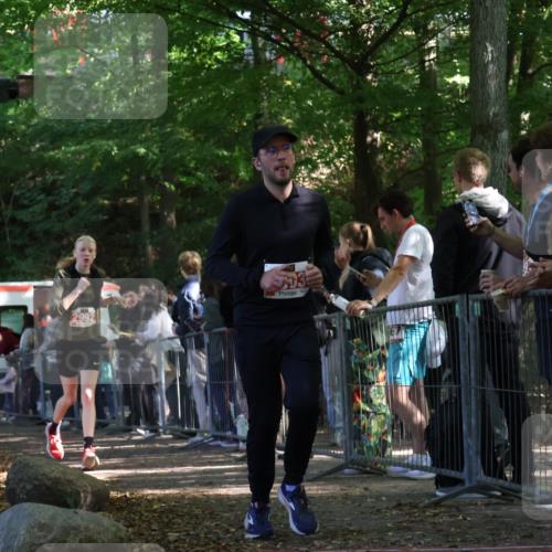 28.09.2025 - 33. Volkslauf durch das schöne Alstertal Strokosch-Dieckow http://msf.ph/oto/8953591 28.09.2025 12:32:52 Ziel 2535, 2603, 2992 meine-sportfotos.de