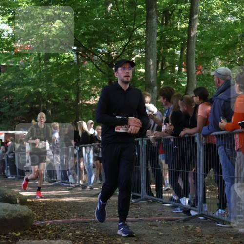28.09.2025 - 33. Volkslauf durch das schöne Alstertal Strokosch-Dieckow http://msf.ph/oto/8953597 28.09.2025 12:32:53 Ziel 2206, 2535, 2603, 2992 meine-sportfotos.de