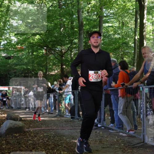 28.09.2025 - 33. Volkslauf durch das schöne Alstertal Strokosch-Dieckow http://msf.ph/oto/8953603 28.09.2025 12:32:54 Ziel 2206, 2285, 2286, 2535, 2629, 2992 meine-sportfotos.de