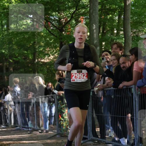 28.09.2025 - 33. Volkslauf durch das schöne Alstertal Strokosch-Dieckow http://msf.ph/oto/8953609 28.09.2025 12:32:56 Ziel 2206, 2285, 2286, 2535, 2629, 2992 meine-sportfotos.de