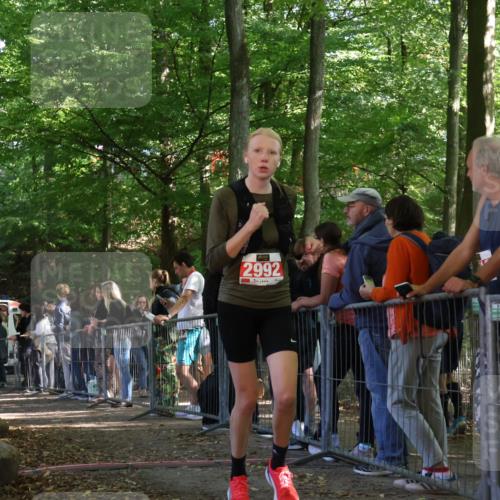 28.09.2025 - 33. Volkslauf durch das schöne Alstertal Strokosch-Dieckow http://msf.ph/oto/8953612 28.09.2025 12:32:56 Ziel 2206, 2285, 2286, 2535, 2629, 2992 meine-sportfotos.de
