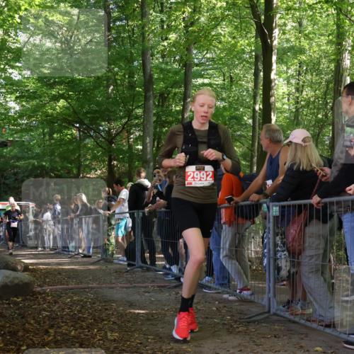 28.09.2025 - 33. Volkslauf durch das schöne Alstertal Strokosch-Dieckow http://msf.ph/oto/8953615 28.09.2025 12:32:57 Ziel 2206, 2285, 2286, 2535, 2629 meine-sportfotos.de