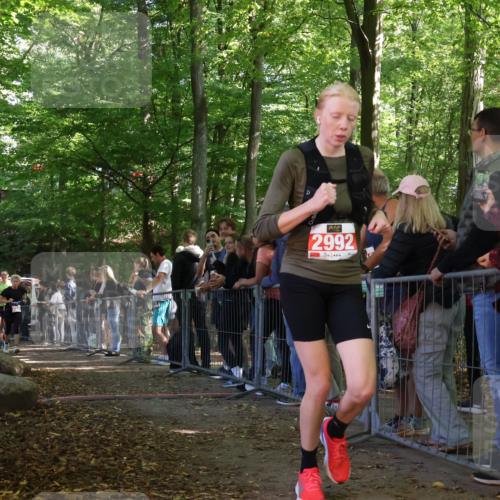 28.09.2025 - 33. Volkslauf durch das schöne Alstertal Strokosch-Dieckow http://msf.ph/oto/8953618 28.09.2025 12:32:57 Ziel 2206, 2285, 2286, 2535, 2629 meine-sportfotos.de