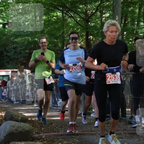 28.09.2025 - 33. Volkslauf durch das schöne Alstertal Strokosch-Dieckow http://msf.ph/oto/8953631 28.09.2025 12:33:02 Ziel 2206, 2285, 2286, 2535, 2629 meine-sportfotos.de