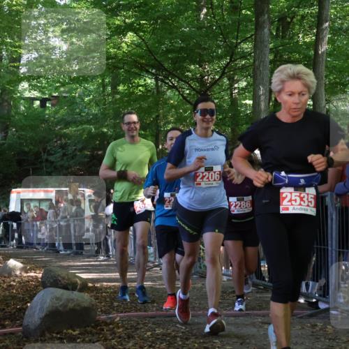 28.09.2025 - 33. Volkslauf durch das schöne Alstertal Strokosch-Dieckow http://msf.ph/oto/8953634 28.09.2025 12:33:03 Ziel 2206, 2285, 2286, 2629 meine-sportfotos.de