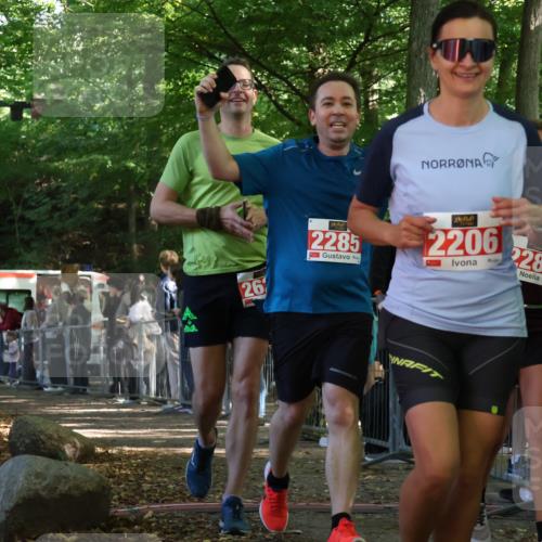 28.09.2025 - 33. Volkslauf durch das schöne Alstertal Strokosch-Dieckow http://msf.ph/oto/8953636 28.09.2025 12:33:04 Ziel 2239, 2285, 2286, 2526, 2531, 2629 meine-sportfotos.de
