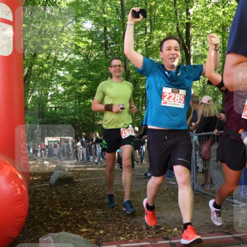 28.09.2025 - 33. Volkslauf durch das schöne Alstertal Strokosch-Dieckow http://msf.ph/oto/8953644 28.09.2025 12:33:05 Ziel 2239, 2526, 2531 meine-sportfotos.de