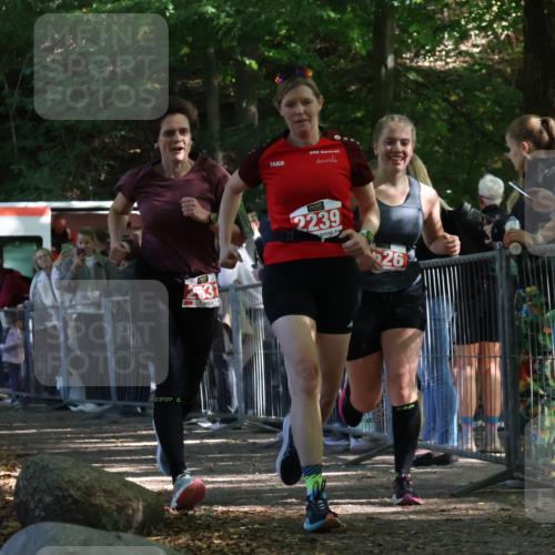 28.09.2025 - 33. Volkslauf durch das schöne Alstertal Strokosch-Dieckow http://msf.ph/oto/8953648 28.09.2025 12:33:12 Ziel 1098, 1738, 2044, 2239, 2526, 2531 meine-sportfotos.de