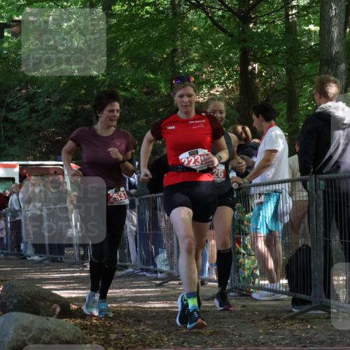 28.09.2025 - 33. Volkslauf durch das schöne Alstertal Strokosch-Dieckow http://msf.ph/oto/8953651 28.09.2025 12:33:12 Ziel 1098, 1738, 2044, 2239, 2526, 2531 meine-sportfotos.de