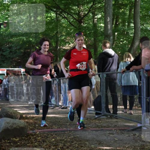 28.09.2025 - 33. Volkslauf durch das schöne Alstertal Strokosch-Dieckow http://msf.ph/oto/8953654 28.09.2025 12:33:13 Ziel 1098, 1738, 2043, 2044, 2239, 2526, 2531 meine-sportfotos.de