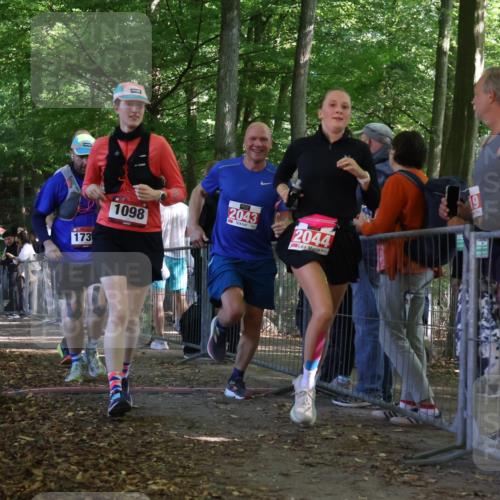 28.09.2025 - 33. Volkslauf durch das schöne Alstertal Strokosch-Dieckow http://msf.ph/oto/8953678 28.09.2025 12:33:22 Ziel 1098, 2043, 2044, 2357 meine-sportfotos.de
