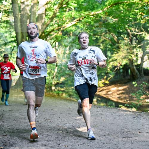 28.09.2025 - 33. Volkslauf durch das schöne Alstertal Dr. Thomas Lammeyer http://msf.ph/oto/8953681 28.09.2025 10:36:26 Laufen 1591, 2515 meine-sportfotos.de