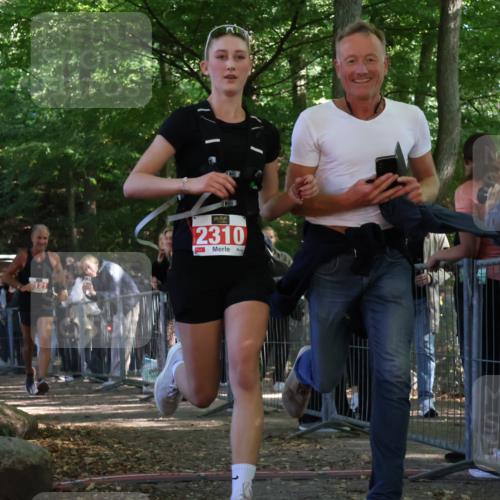28.09.2025 - 33. Volkslauf durch das schöne Alstertal Strokosch-Dieckow http://msf.ph/oto/8953702 28.09.2025 12:33:36 Ziel 2121, 2310 meine-sportfotos.de