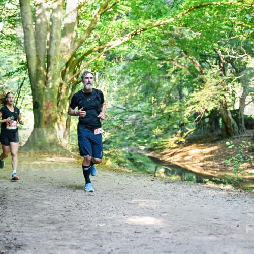 28.09.2025 - 33. Volkslauf durch das schöne Alstertal Dr. Thomas Lammeyer http://msf.ph/oto/8953718 28.09.2025 10:36:37 Laufen 2419, 2199, 200 meine-sportfotos.de
