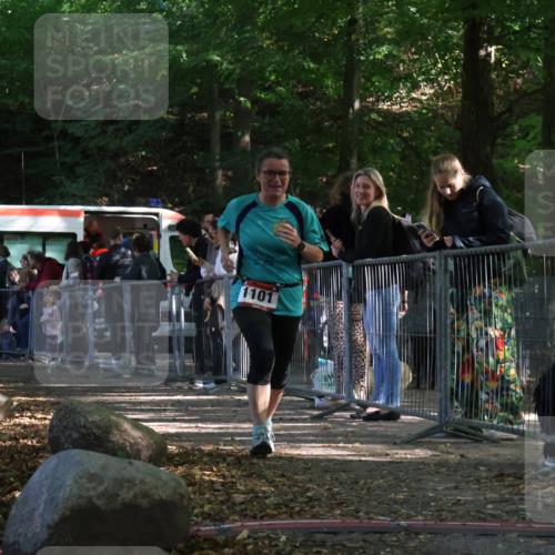 28.09.2025 - 33. Volkslauf durch das schöne Alstertal Strokosch-Dieckow http://msf.ph/oto/8953723 28.09.2025 12:33:49 Ziel 1101 meine-sportfotos.de
