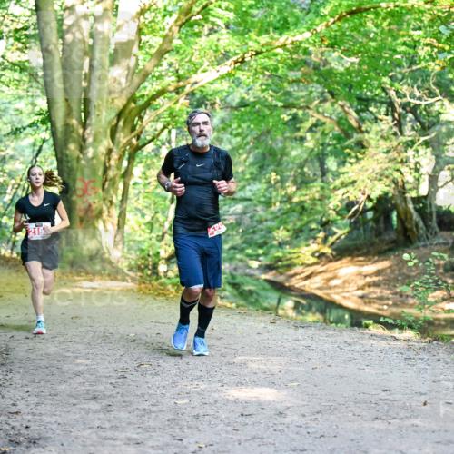 28.09.2025 - 33. Volkslauf durch das schöne Alstertal Dr. Thomas Lammeyer http://msf.ph/oto/8953724 28.09.2025 10:36:37 Laufen 2419, 219 meine-sportfotos.de