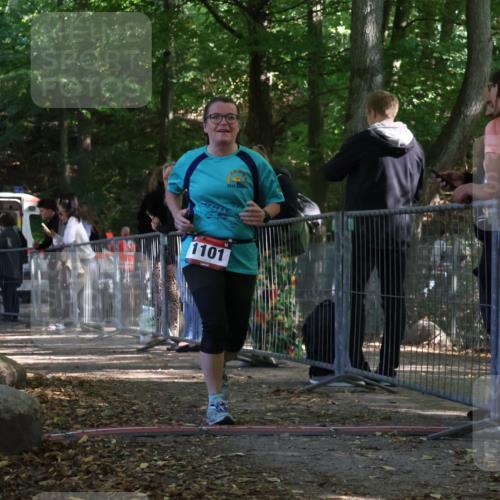 28.09.2025 - 33. Volkslauf durch das schöne Alstertal Strokosch-Dieckow http://msf.ph/oto/8953728 28.09.2025 12:33:50 Ziel 1101 meine-sportfotos.de