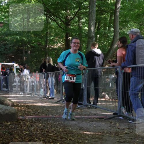 28.09.2025 - 33. Volkslauf durch das schöne Alstertal Strokosch-Dieckow http://msf.ph/oto/8953731 28.09.2025 12:33:51 Ziel 1101 meine-sportfotos.de