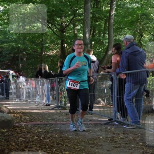 28.09.2025 - 33. Volkslauf durch das schöne Alstertal Strokosch-Dieckow http://msf.ph/oto/8953734 28.09.2025 12:33:51 Ziel 1101 meine-sportfotos.de