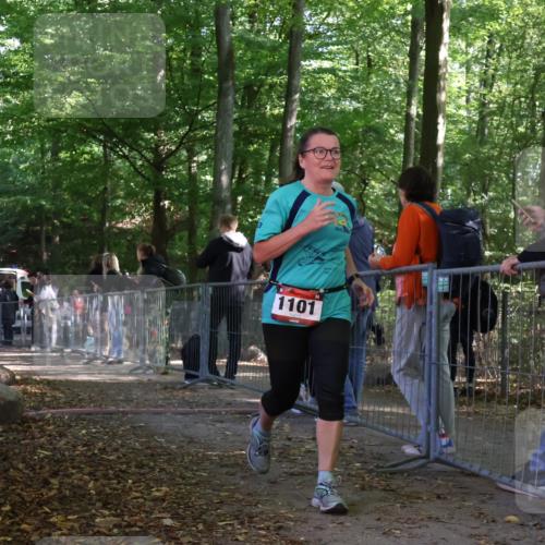 28.09.2025 - 33. Volkslauf durch das schöne Alstertal Strokosch-Dieckow http://msf.ph/oto/8953737 28.09.2025 12:33:52 Ziel 2367 meine-sportfotos.de