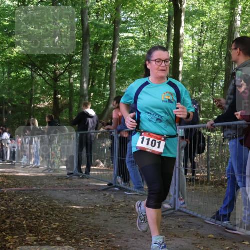 28.09.2025 - 33. Volkslauf durch das schöne Alstertal Strokosch-Dieckow http://msf.ph/oto/8953739 28.09.2025 12:33:52 Ziel 2367 meine-sportfotos.de