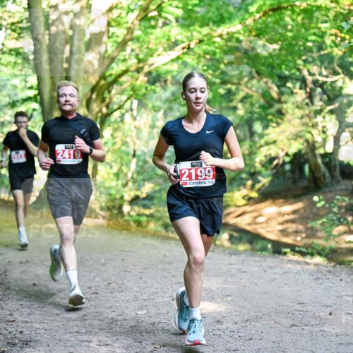 28.09.2025 - 33. Volkslauf durch das schöne Alstertal Dr. Thomas Lammeyer http://msf.ph/oto/8953741 28.09.2025 10:36:39 Laufen 2419, 2199 meine-sportfotos.de
