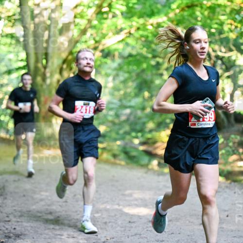 28.09.2025 - 33. Volkslauf durch das schöne Alstertal Dr. Thomas Lammeyer http://msf.ph/oto/8953744 28.09.2025 10:36:39 Laufen 2419 meine-sportfotos.de