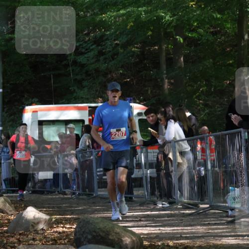 28.09.2025 - 33. Volkslauf durch das schöne Alstertal Strokosch-Dieckow http://msf.ph/oto/8953745 28.09.2025 12:34:07 Ziel 2080, 2207, 2260 meine-sportfotos.de