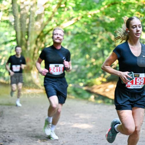 28.09.2025 - 33. Volkslauf durch das schöne Alstertal Dr. Thomas Lammeyer http://msf.ph/oto/8953746 28.09.2025 10:36:39 Laufen 2419, 199 meine-sportfotos.de