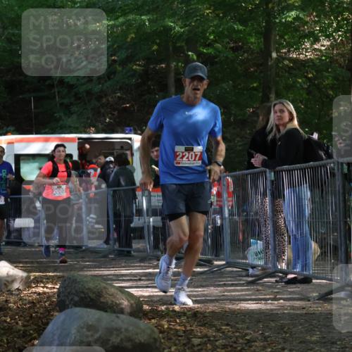 28.09.2025 - 33. Volkslauf durch das schöne Alstertal Strokosch-Dieckow http://msf.ph/oto/8953747 28.09.2025 12:34:09 Ziel 2080, 2207, 2259, 2260 meine-sportfotos.de