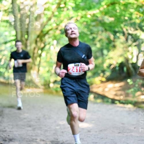 28.09.2025 - 33. Volkslauf durch das schöne Alstertal Dr. Thomas Lammeyer http://msf.ph/oto/8953749 28.09.2025 10:36:40 Laufen 241, 219 meine-sportfotos.de