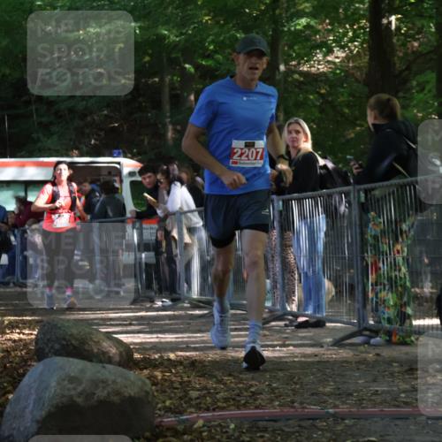 28.09.2025 - 33. Volkslauf durch das schöne Alstertal Strokosch-Dieckow http://msf.ph/oto/8953750 28.09.2025 12:34:10 Ziel 2080, 2207, 2259, 2260 meine-sportfotos.de