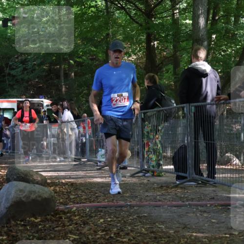 28.09.2025 - 33. Volkslauf durch das schöne Alstertal Strokosch-Dieckow http://msf.ph/oto/8953753 28.09.2025 12:34:10 Ziel 2080, 2207, 2259, 2260 meine-sportfotos.de