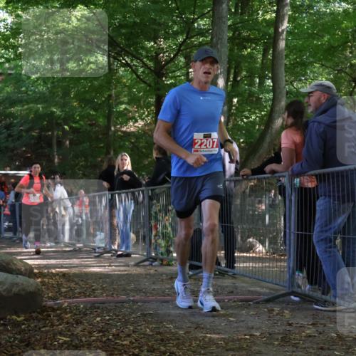 28.09.2025 - 33. Volkslauf durch das schöne Alstertal Strokosch-Dieckow http://msf.ph/oto/8953759 28.09.2025 12:34:11 Ziel 2080, 2207, 2259, 2260 meine-sportfotos.de