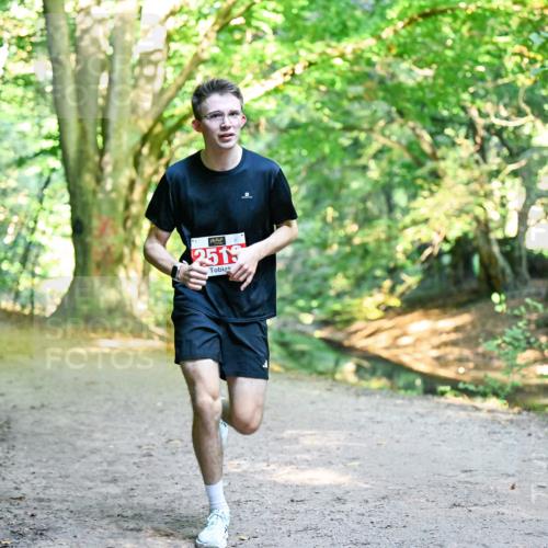 28.09.2025 - 33. Volkslauf durch das schöne Alstertal Dr. Thomas Lammeyer http://msf.ph/oto/8953761 28.09.2025 10:36:41 Laufen 2519 meine-sportfotos.de