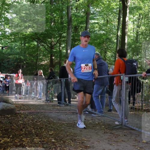 28.09.2025 - 33. Volkslauf durch das schöne Alstertal Strokosch-Dieckow http://msf.ph/oto/8953762 28.09.2025 12:34:12 Ziel 2080, 2207, 2259, 2260, 2600 meine-sportfotos.de