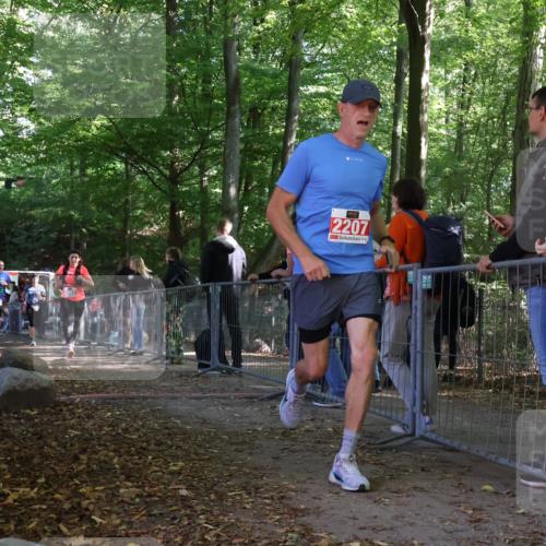 28.09.2025 - 33. Volkslauf durch das schöne Alstertal Strokosch-Dieckow http://msf.ph/oto/8953765 28.09.2025 12:34:12 Ziel 2080, 2207, 2259, 2260, 2600 meine-sportfotos.de