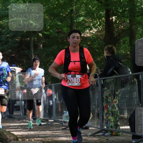28.09.2025 - 33. Volkslauf durch das schöne Alstertal Strokosch-Dieckow http://msf.ph/oto/8953767 28.09.2025 12:34:14 Ziel 2080, 2259, 2260, 2600 meine-sportfotos.de